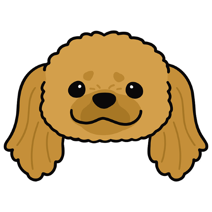 Clip art of simple and cute Pekinese face with main line