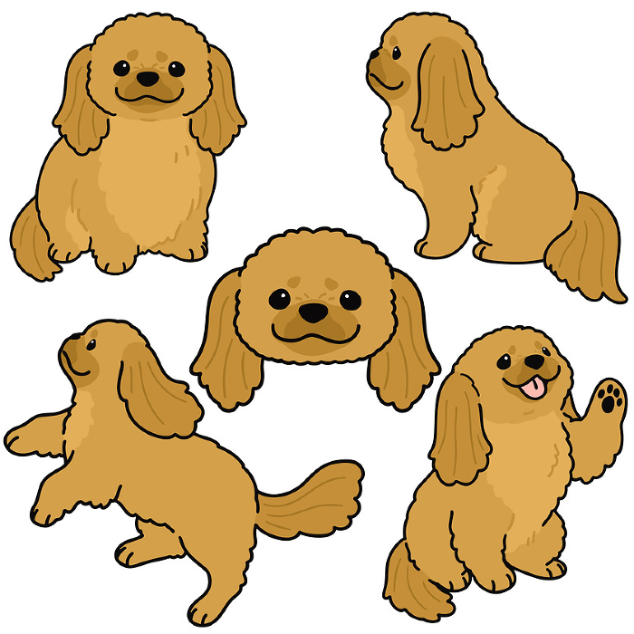Illustration set of simple and cute Pekinese with main line