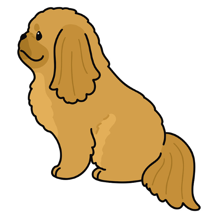 Illustration of simple and cute Pekinese sitting facing sideways with main line