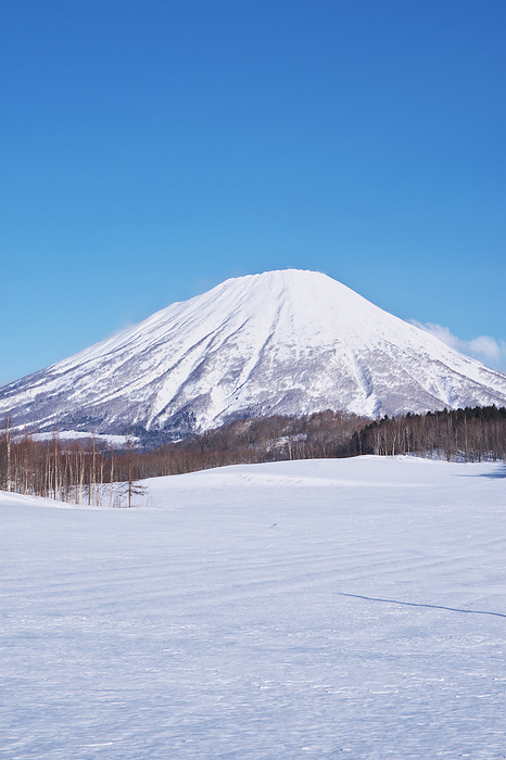 Mt. Yotei and snow field Hokkaido