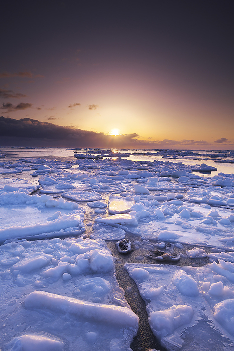 Drift ice on Notsuke Peninsula and sunrise over Nemuro Strait, Hokkaido  6 C