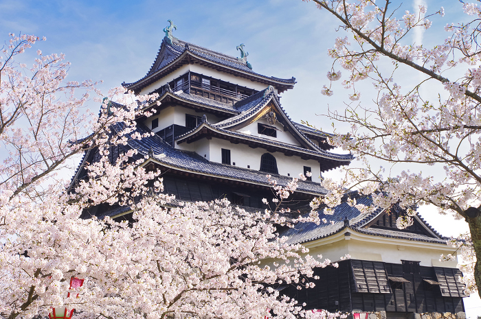 Matsue Castle in spring