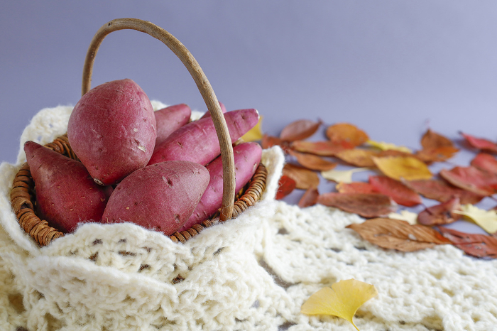 Delicious sweet potatoes in scarf season Deciduous background