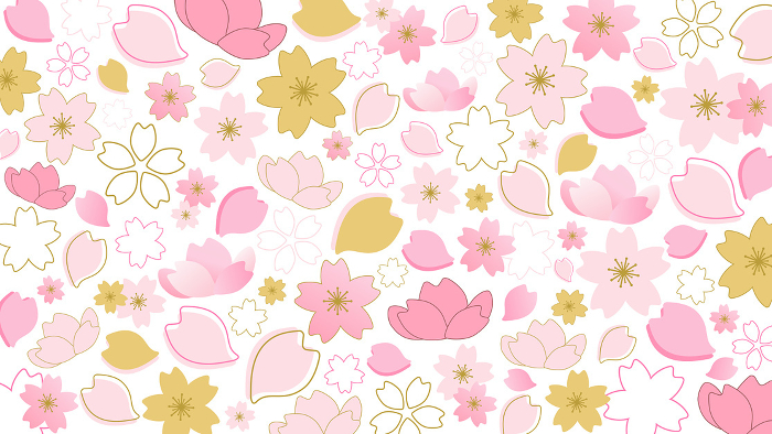 Vector background illustration of cherry blossoms on white background [landscape].