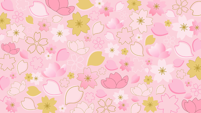 Vector background illustration of pink japanese cherry blossoms [landscape].