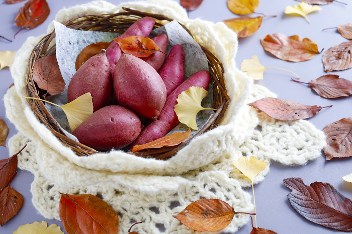 Delicious sweet potatoes in scarf season Deciduous background