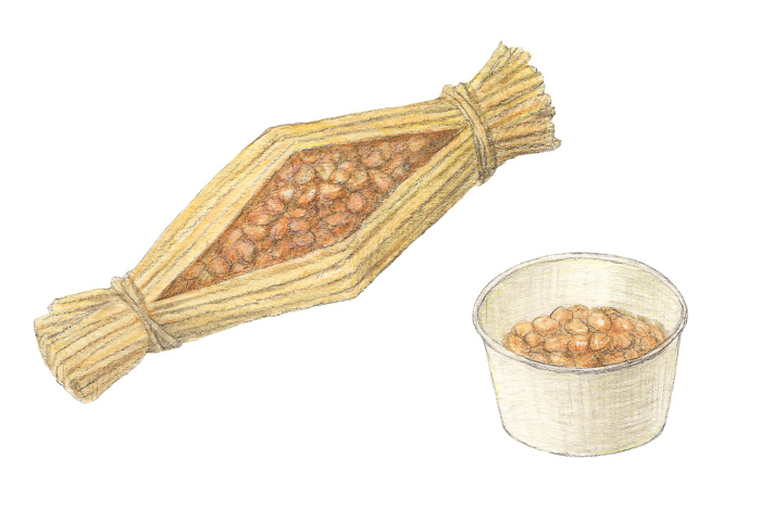 Straw Natto and Cup Natto Watercolor Pencil Analog Illustration