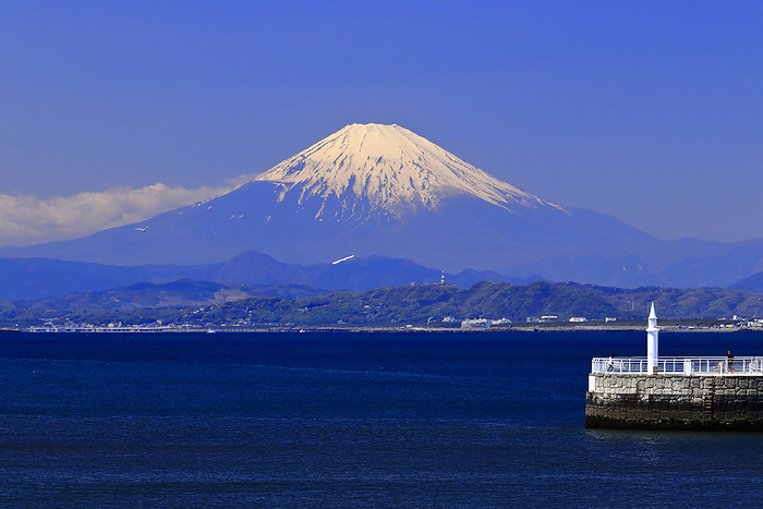 Fuji and lighthouse
