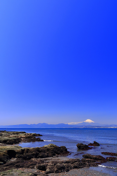 Fuji seen from Enoshima