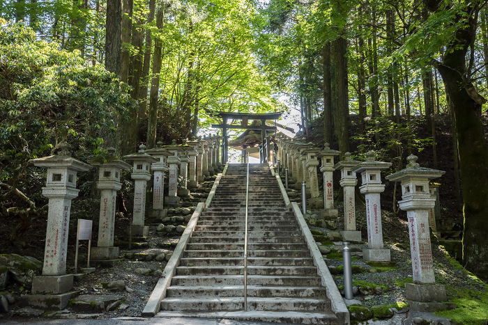 Stairs leading to the far hall of worship at Mimine Shrine Chichibu City, Saitama Prefecture