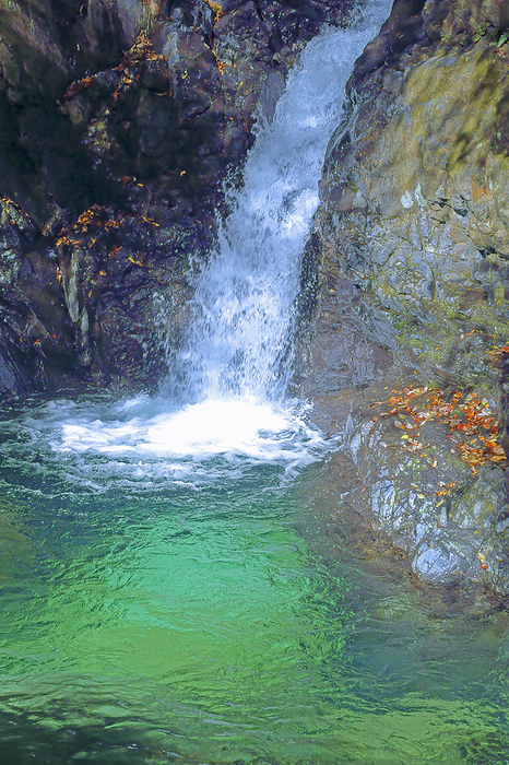 Mumyo Falls, Kokisu Valley, Mie Prefecture