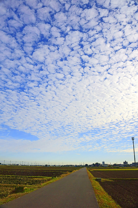 Mie Prefecture Farm Road and Autumn Clouds