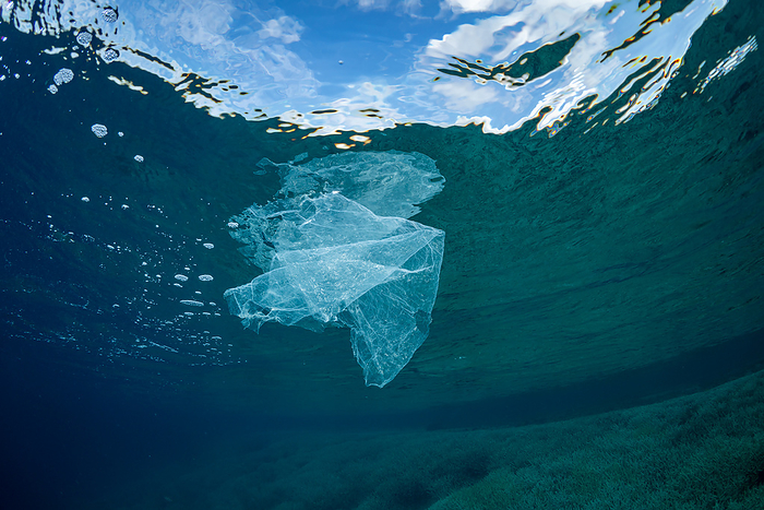 Plastic bags floating in the sea Ogasawara