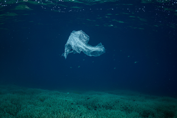 Plastic bags floating in the sea Ogasawara