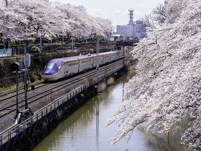 Yamagata Shinkansen Series E8 Train Yamagata Station   Kita Yamagata Station 