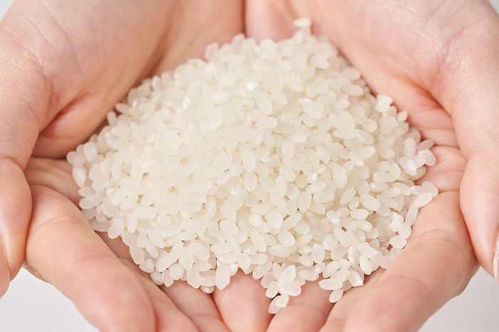 Rice served in the palm of your hand