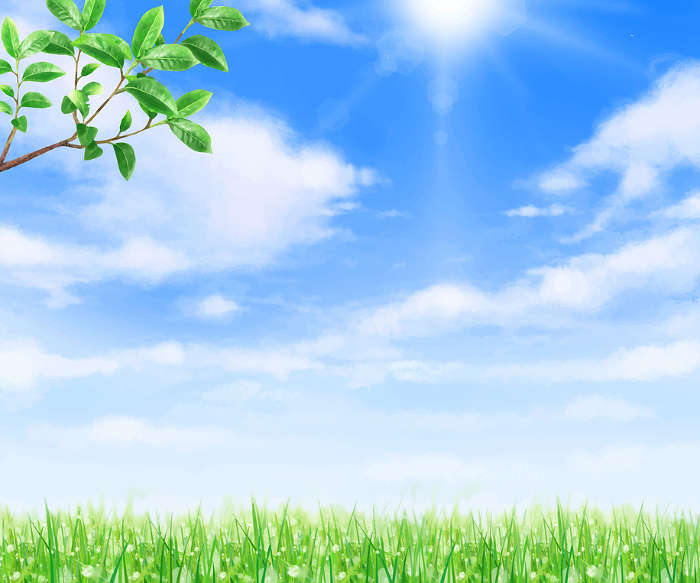 Early summer frame background material of beautiful fresh green young leaves in blue sky with clouds with sunshine.