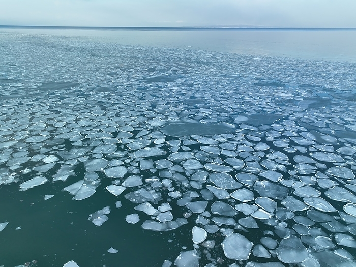 Drift Ice in East Hokkaido Drift ice on Notsuke Peninsula, East Hokkaido Photo by S.Asao