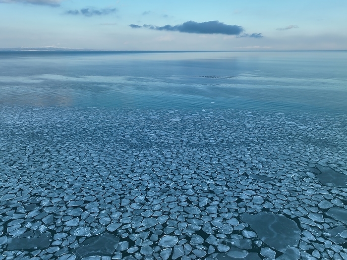 Drift Ice in East Hokkaido Drift ice on Notsuke Peninsula, East Hokkaido Photo by S.Asao