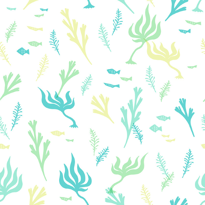 Patterns of seaweed and marine life
