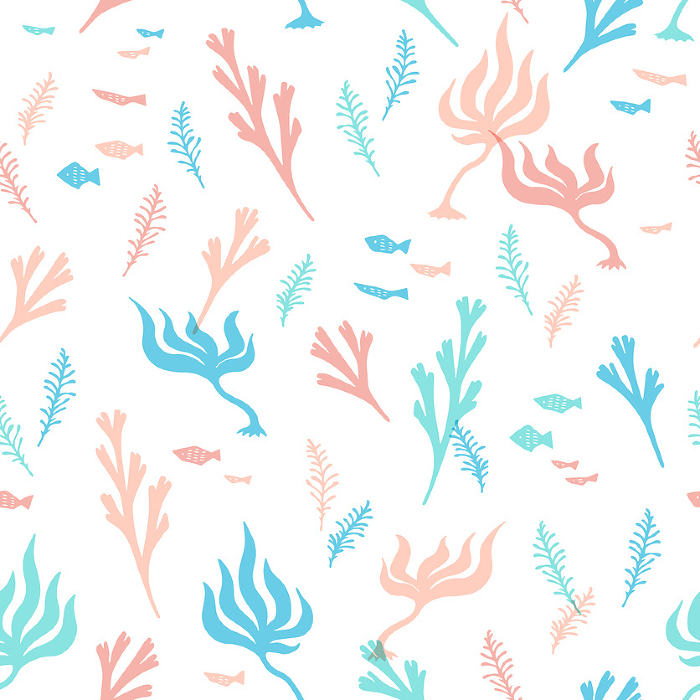 Patterns of seaweed and marine life