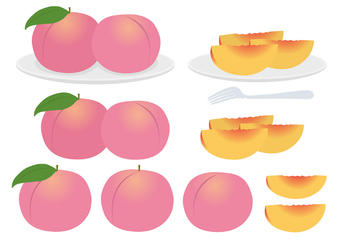 Set of illustrations of peaches