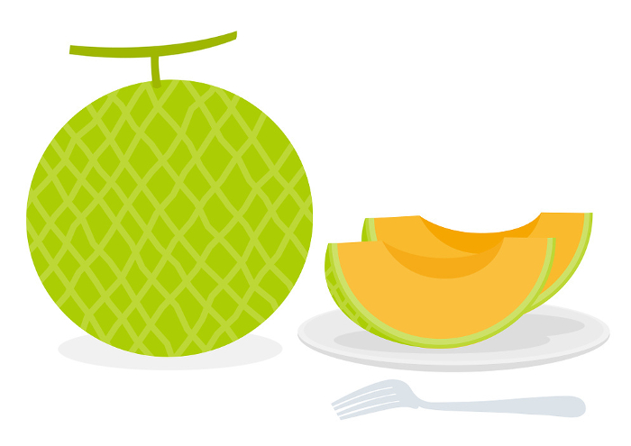 Illustration of melon on a white plate