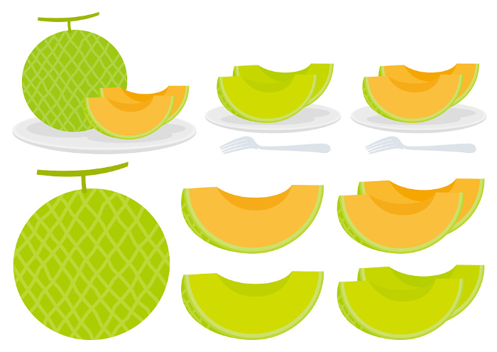 Set of melon illustrations