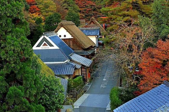 Kyoto Sagano Toriihon