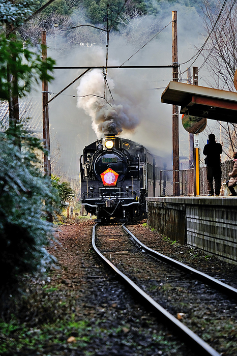 Oigawa Railway Trains