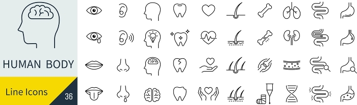 Vector human body line drawing icon set