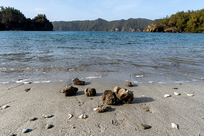 Pumice stone washed ashore Ogasawara Pumice from underwater volcanic eruption at the site of Fukutokuoka