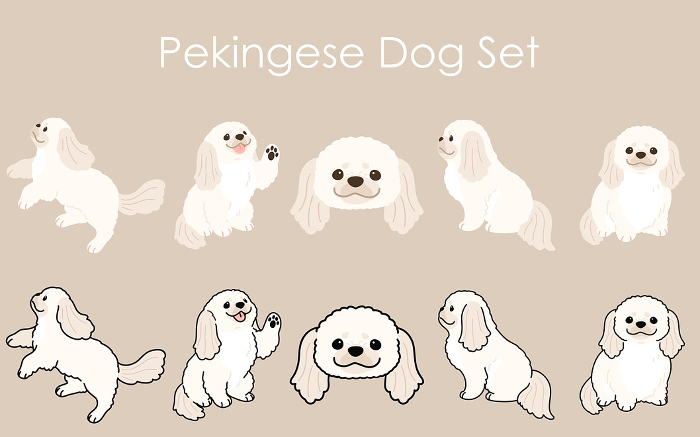 Clip art set of simple and cute white Pekinese
