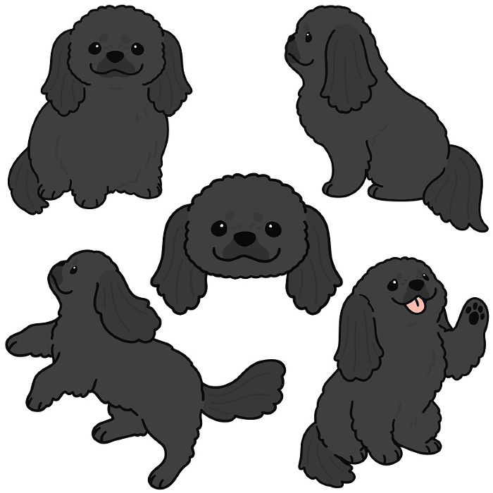 Illustration set of simple and cute black Pekinese with main line