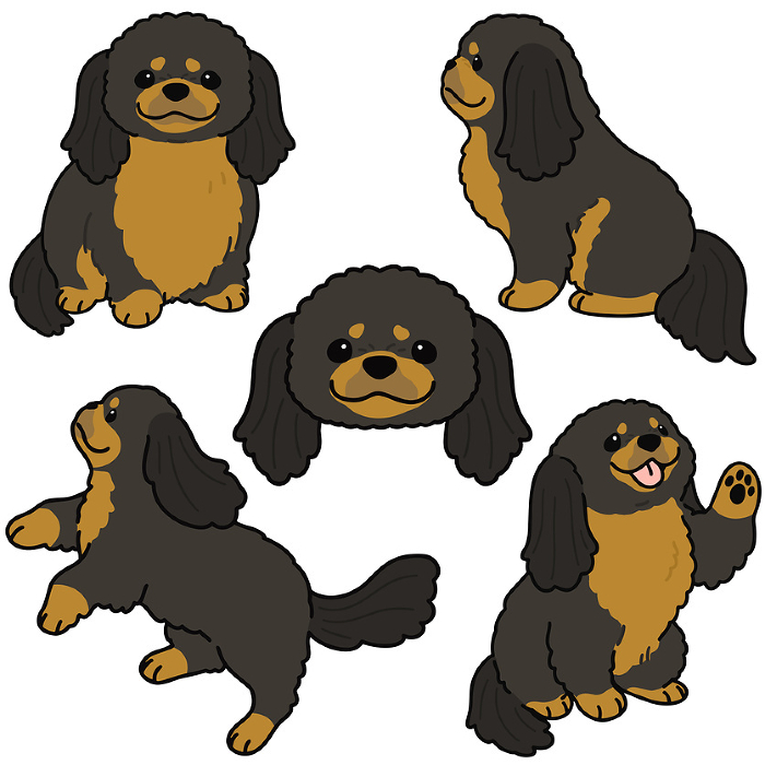 Illustration set of simple and cute black and tan Pekinese with main line.