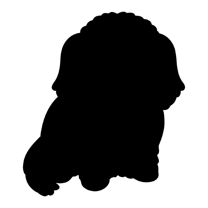 Simple and cute silhouette of a Pekinese sitting facing forward