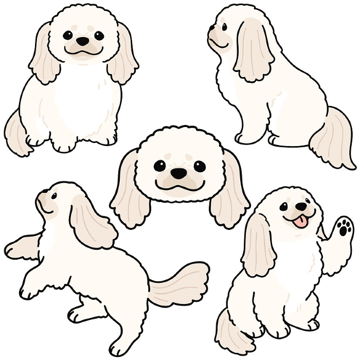 Illustration set of simple and cute white Pekinese with main line