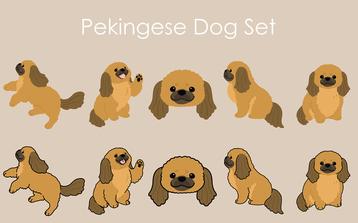 Clip art set of simple and cute fawn-colored Pekinese.