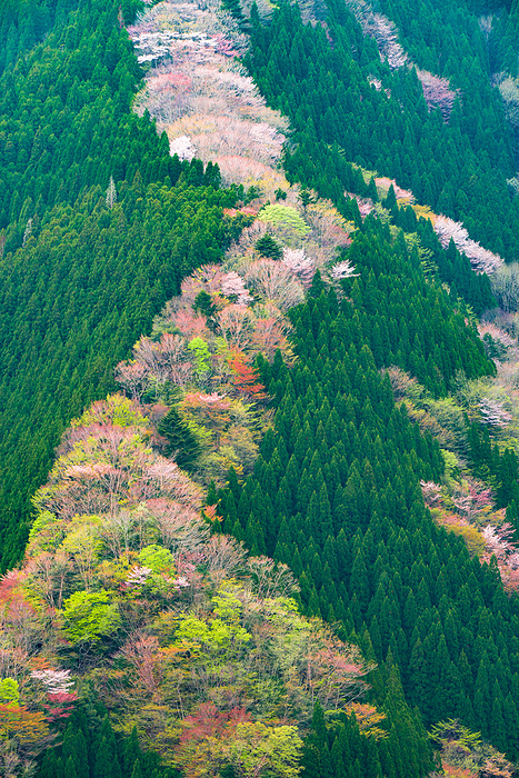 Namego Valley Nara Pref.