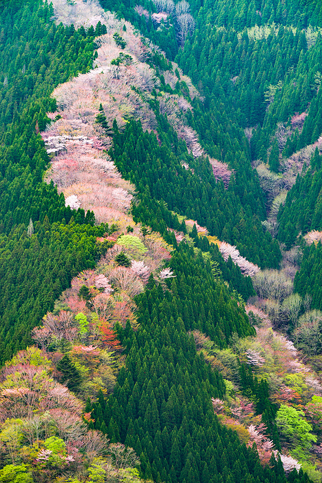 Namego Valley Nara Pref.