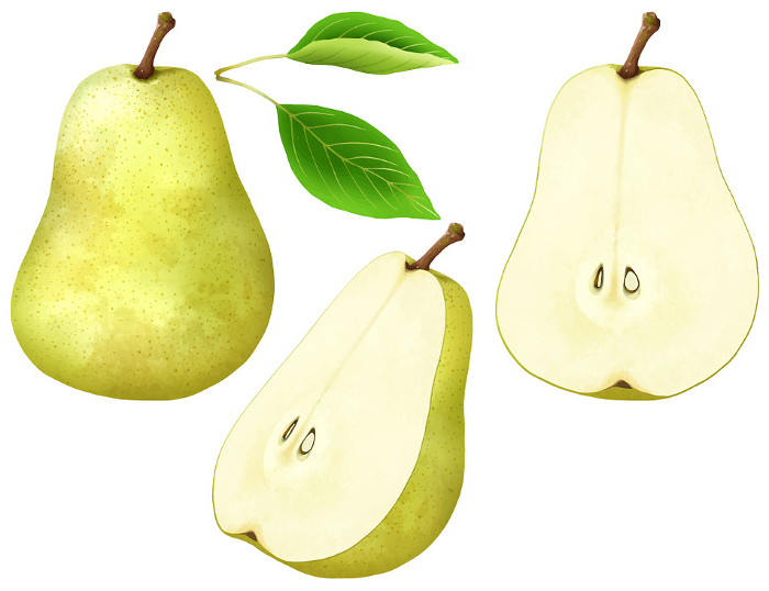 Vector 1 pear, half cut, hand painted