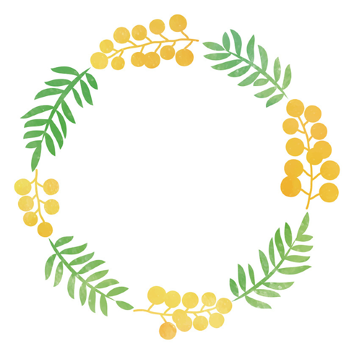 Color illustration of mimosa wreath