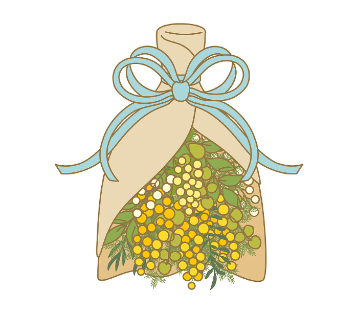 Color illustration of mimosa bouquet