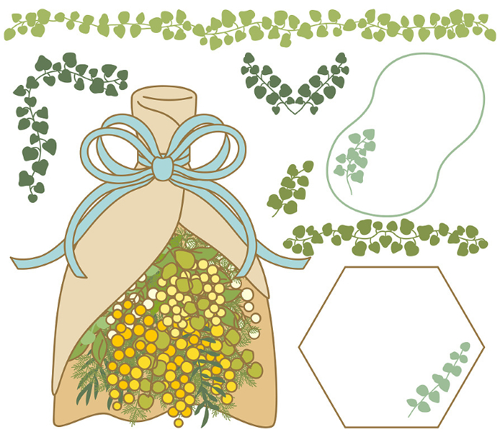 Decoration illustration of ivy and bouquet of mimosa [set].