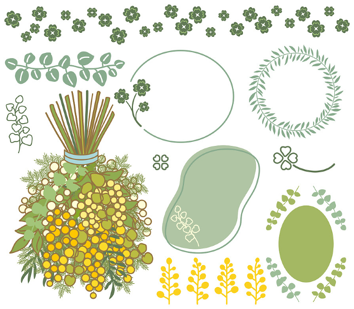 Illustration of Mimosa bouquet and plants decoration [set].
