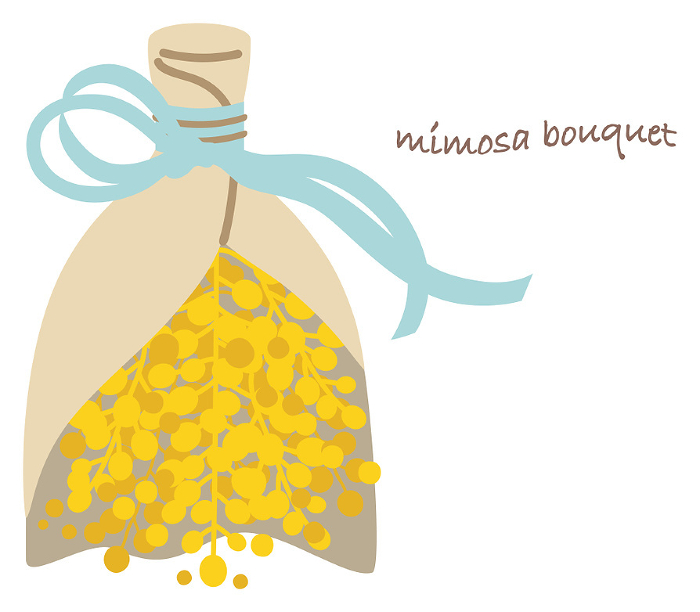 Simple color illustration of mimosa bouquet