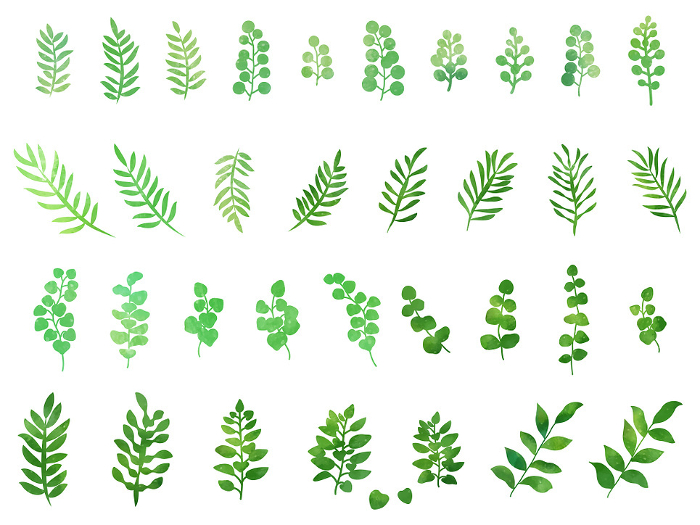 Clip art set of leaf of plant [Watercolor style/Icon