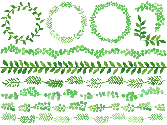 Green Leaf Decoration Illustration Set