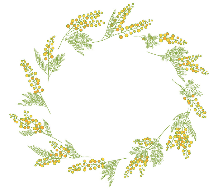 Color illustration of Mimosa decorative frame