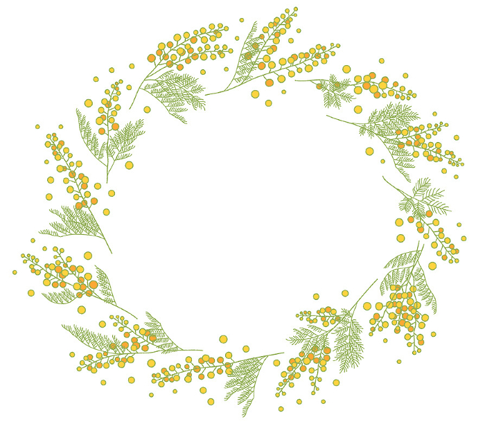 Color illustration of Mimosa decorative frame
